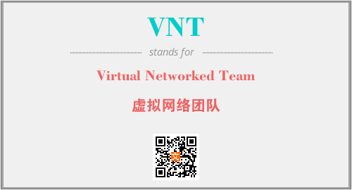 VNT - Virtual Networked Team